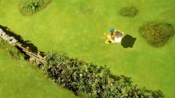 بره ناقلا (فسیل ها)